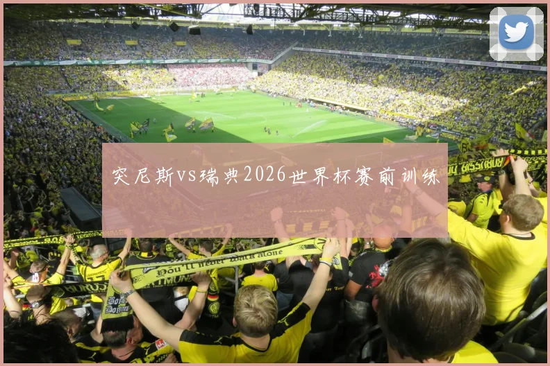 突尼斯vs瑞典2026世界杯赛前训练
