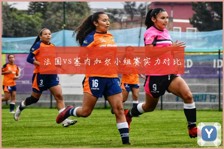 法国vs塞内加尔小组赛实力对比