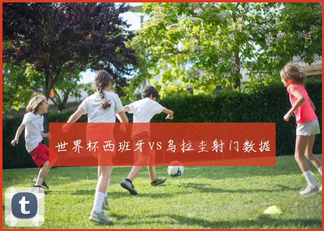 世界杯西班牙vs乌拉圭射门数据