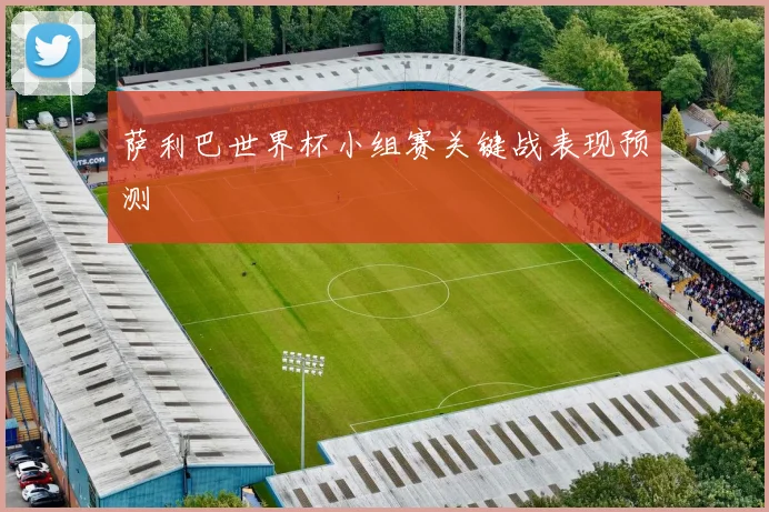 萨利巴世界杯小组赛关键战表现预测