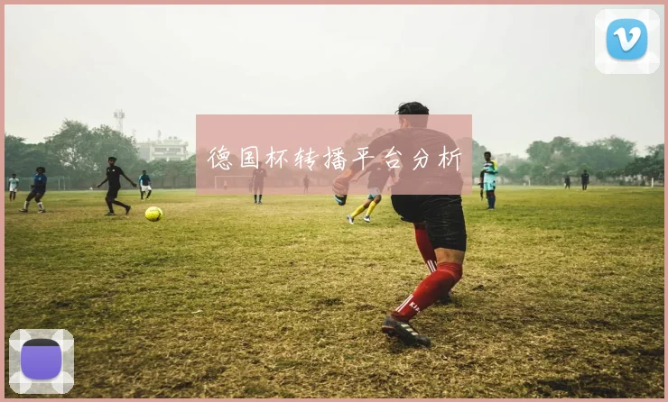 德国杯转播平台分析