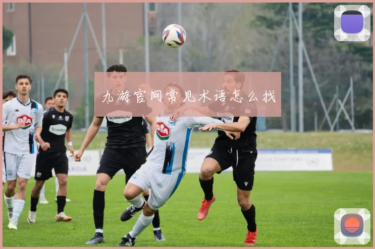 九游官网常见术语怎么找