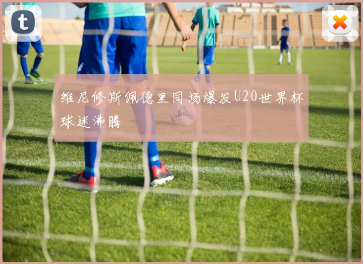 维尼修斯佩德里同场爆发U20世界杯球迷沸腾