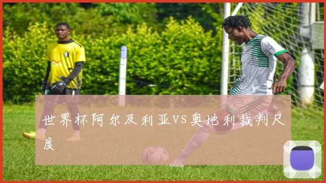 世界杯阿尔及利亚vs奥地利裁判尺度